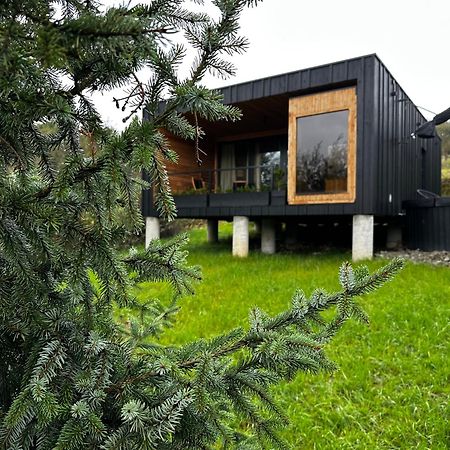 Brown Deer - Z Sauna Na Tarasie, Jacuzzi I Widokiem Na Gory - By Deer Hills Luxury Apartments Kocon Exterior photo